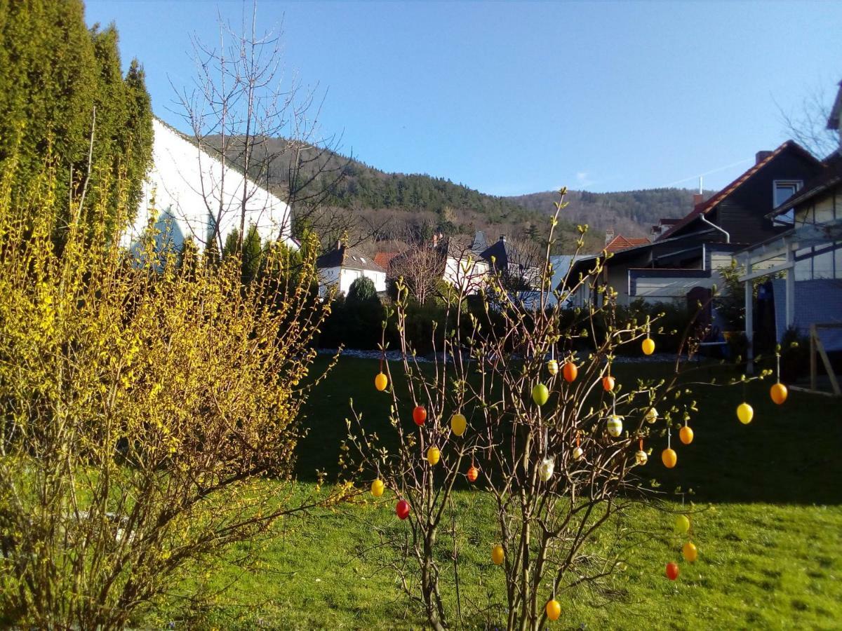Brockenferien Apartman Bad Harzburg Kültér fotó