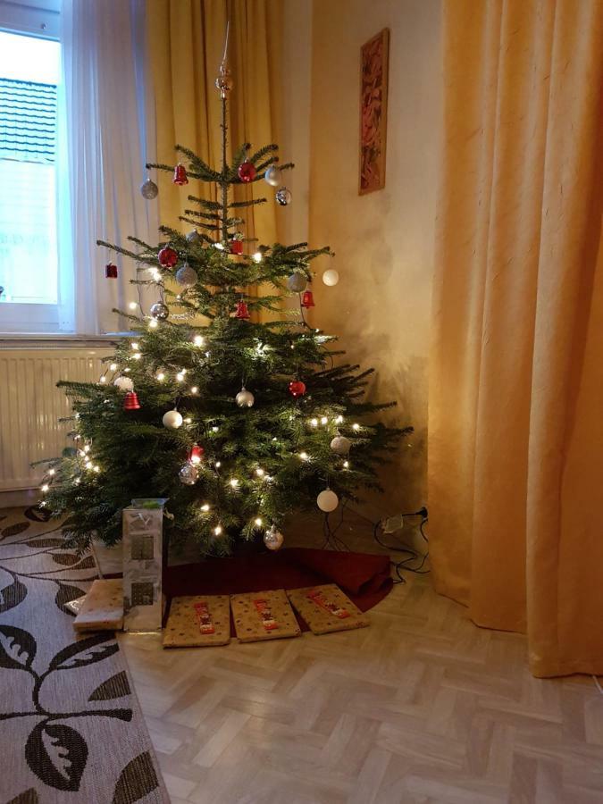Brockenferien Apartman Bad Harzburg Kültér fotó